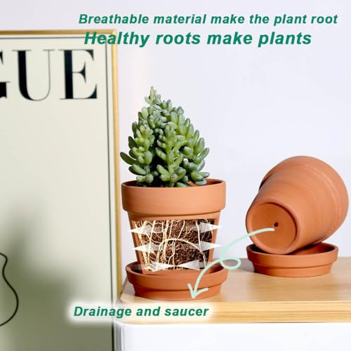 3 Inch Terracotta & Clay Pots for Plant with Saucer, 12 Pack | Clay Flowerpot with Drainage, Nursery pot for succulents, cactus, herbs, seedlings, Crafts, Wedding Favors - color: Brown