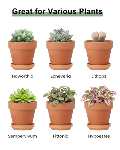 Riseuvo 4 Inch Terracotta Pots with Saucer – 6 Pack Small Clay Flower Pots with Drainage Hole for Succulents, Herbs, Indoor & Outdoor Plants, Wedding Favors - size: 4 inch