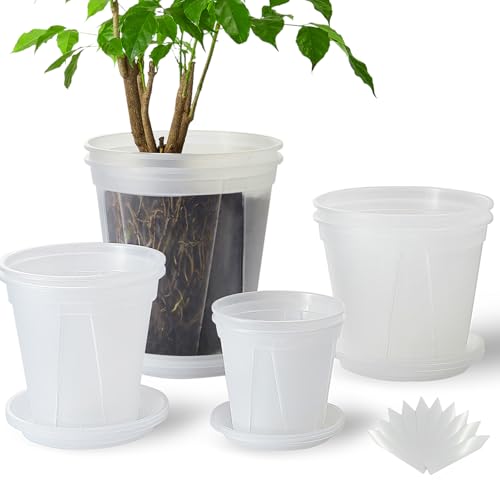Clear Plant Nursery pots with Saucers,5/6/7/8 inch 8 Pack | for Indoor & Outdoor Plants,monstera pot with drainage holes, monitor soil moisture and root health, semi-clear PP material - size: 5/6/7/8 inch with trays