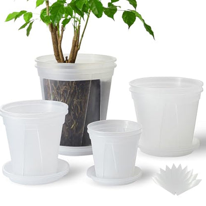 Clear Plant Nursery pots with Saucers,5/6/7/8 inch 8 Pack | for Indoor & Outdoor Plants,monstera pot with drainage holes, monitor soil moisture and root health, semi-clear PP material - size: 5/6/7/8 inch with trays