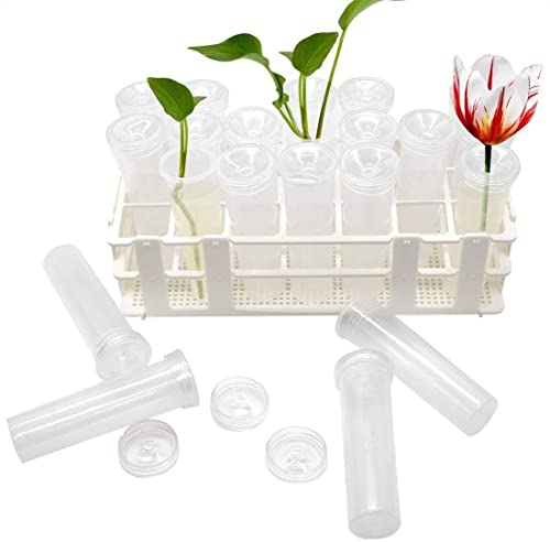 Tirifer 21 Pack 60ml Large Floral Tubes with Rack Holder for Milkweed Cuttings, Raising Caterpillars, Monarchs, Butterflies, Flower Arrangements