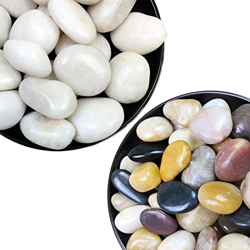 0.7-1.2 inch 5lbs Mixed Color and 1-2 inch 5lbs White River Rocks, Natural Pebbles for Indoor Plants, High Polished Decorative Stones Vase Filler Fish Tank Aquariums Garden Landscaping