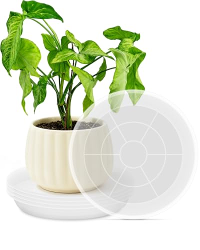 PACETAP 14 inch 5 Pack Plant Saucer Pot Tray, Large Thickened PP Plastic Flower Planter Water Drip Trays for Indoor Outdoor Garden, Semi-Transparent Planter Water Catcher for Pot, Plant Dish - size: 14 Inhc