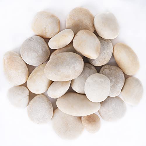 11LB Stones Pebbles River Rocks, 100% Natural Hand-Picked Premium Decorative Pebbles, Ideal for Garden Landscaping, Home Decor, Aquariums, Painting, Crafting and Gifts, Cream White - size: 11 Pounds, style: Cream White