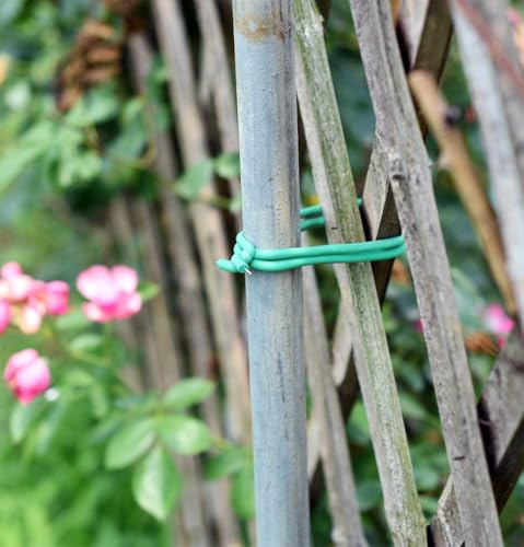 PGarden-EZ Heavy Duty Garden Plant Ties, 250 Feet Soft Twist Ties for Vines Tomatoes, Thick Green Zip Ties for Climbing Plants and Garden Twine - size: 250 feet/ 77 Meters