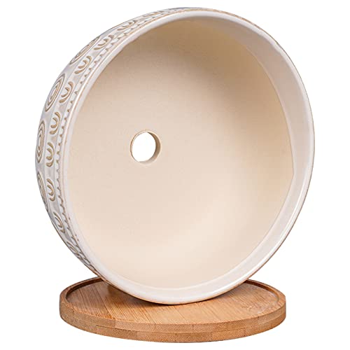 Eightpot 8 Inch Ceramic Succulent Planter Pot with Drainage Hole and Saucer Round Shallow Planter for Indoor Plants, White - color: White
