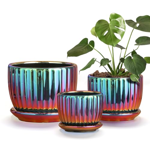 Ceramic Planters,Plant Pots with Drainage Holes & Saucers Set of 3(Purple) | Orchid Pots for Indoor Plants | Cute Flower Pots | Unique Succulent Pots | Pots for Plants | Decorative Plant pots indoor - color: Purple
