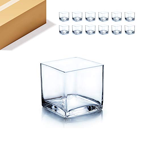 WGV Cube Glass Vase Bulk, Candle Holder, 5"x5"x5", Clear Elegant Floral Accent Container Planter Terrarium Storage for Wedding Party Ceremony Event Office Home Decor, 12 Pieces - size: 5