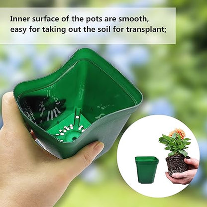 RooTrimmer Square Nursery Succulent Pots 4 Inches 60 Pcs Deep Flower Plant Nursery Seedling Grow Pots Plastic with Drainage (Green, 4Inches, 60Pcs) - color: Green, size: 4 Inch - 60pk