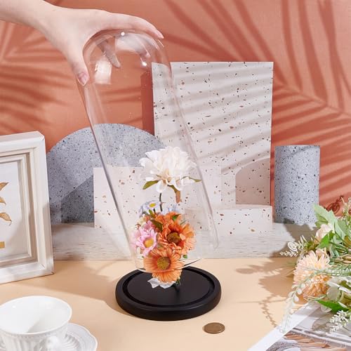 UNICRAFTALE Clear Cloche Glass Dome with Base 12 Inch High Handmade Glass Cloche Antique Collectibles Decorative Bell Jar for Succulents Plants Medals Photos Fairy Lights Table Decor - size: 14x31cm