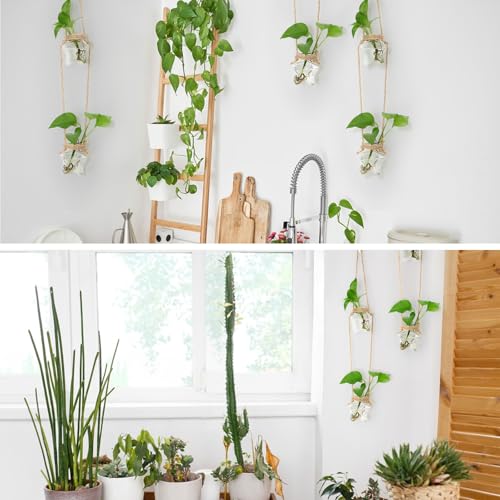 XXXFLOWER Plant Propagation Station with Wooden Stand+Wall Hanging Propagation Station