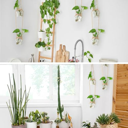 XXXFLOWER Plant Propagation Station with Wooden Stand+Wall Hanging Propagation Station