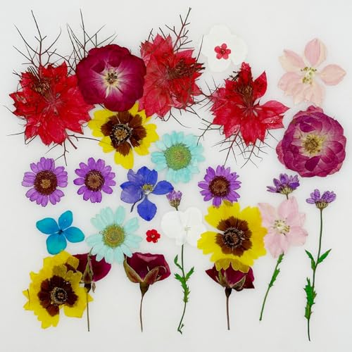 Cayway 36 PCS Dried Pressed Flowers for Resin, Mixed Color Real Pressed Flowers Dry Leaves Kit Natural Dried Pressed Leaves for Art Crafts Resin Scrapbook Supplies Soap Candle DIY - color: Purplish-red-36