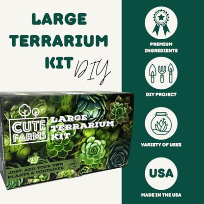 Cute Farms Terrarium Starter Kit | Moss, Vermiculite, Soil, Pebbles, Plant Food, Finishing Tools, Build and Care Guide | DIY Succulent Terrarium for Adults and Kids (Large + Live Plants) - size: Large Kit + Live Plants