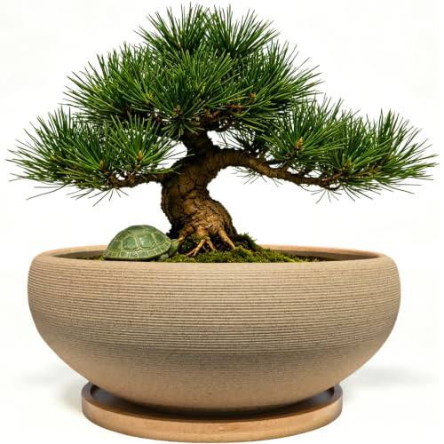 MUZHI 8 inch Round Unglazed Ceramic Bonsai Pot with Bamboo Tray, Shallow Plain Pottery Succulent Planter with Drainage Hole (8”) - size: 8"