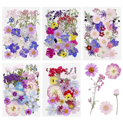 Cayway 170 PCS Real Nature Dried Pressed Flower Leaves, Pressed Flowers for Resin, Real Nature Pressing Floral Leaves for DIY Craft, Candle Scrapbooking Supplies, Purple - color: 170pcs-purple