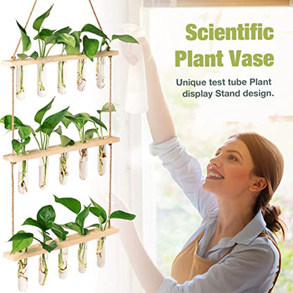 XXXFLOWER Wall Hanging Propagation Station with Wooden Stand 5 Glass Test Tubes+4 Tube Vases