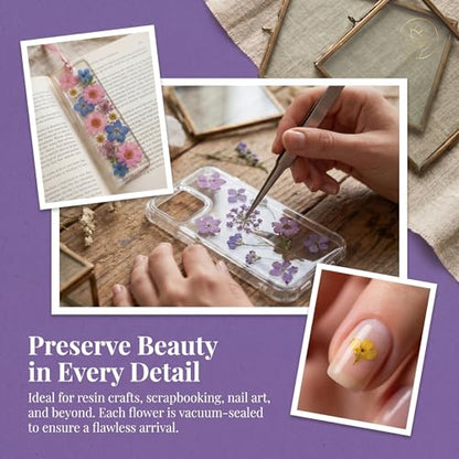 135 Pcs Dried Pressed Flowers for Crafts Resin Real Flat Natural Pressed Flowers with Tweezer for Scrapbooking Silicone Epoxy Resin Molds Crafts Candle Soap Making Nail Bookmark Jewelry DIY Art Supply - color: 135pcs Purple