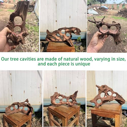 Driftwood for Aquarium Natural Aquarium Wood for Aquascaping Fish Tank Decorations Reptile Tank Decor (Porous Natural Driftwood 11-15“)