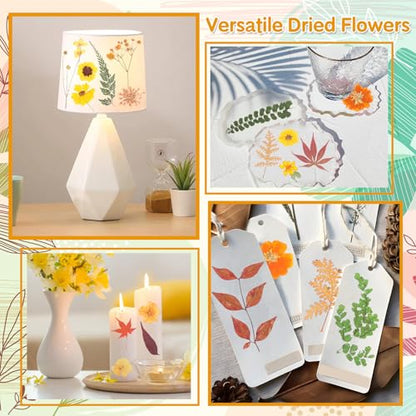 Real Dried Pressed Flowers for Crafts, 100+ PCS Fall Dried Flowers Leaves Nature Flowers Florals Set with Tweezer for Resin Jewelry Making Thanksgiving DIY Candle Scrapbooking Gift (Orange, Yellow) - size: 100 Pcs Pressed Dried Flowers with Tweezers