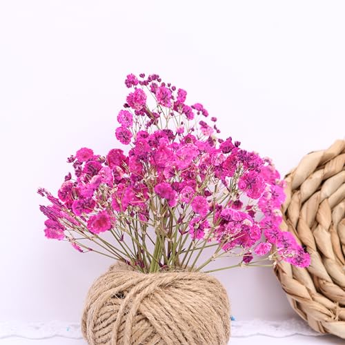 Fuchsia 70 Pcs Small Dried Babys Breath Flowers for Resin ,Real Dried Babys Breath Pressed Flower for Wedding Invitations Wax Seals ,Dry Flat Baby's Breath Flower with 2 Tweezers. - color: Fuchsia