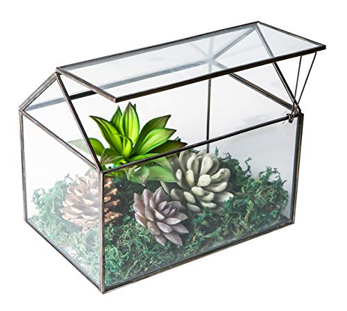 House Shape Close Glass Geometric Terrarium Tabletop Succulent Plant House Garden Planter Moss Fern Swing Lid, Flower Pot for Plants Succulent, Air Plant (Black)