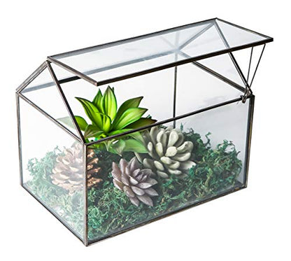 House Shape Close Glass Geometric Terrarium Tabletop Succulent Plant House Garden Planter Moss Fern Swing Lid, Flower Pot for Plants Succulent, Air Plant (Black)