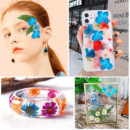 Augshy Blue Dried Pressed Flowers - Natural Real Colorful Dry Flowers for Resin Jewelry Nail Art Craft DIY - color: Blue