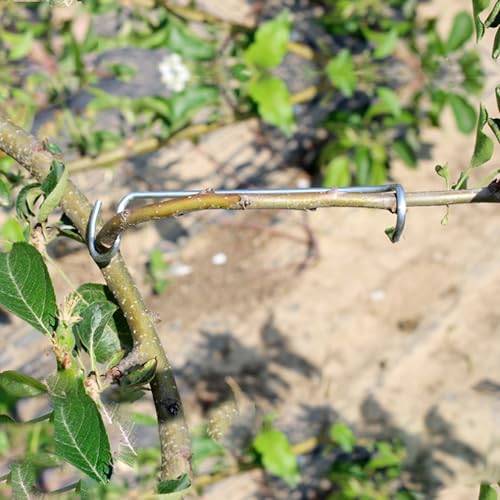 Fruit Tree Branch Limb Spreader Open Angle Pull Branch Separators Stereotyped Branch Bending Tool Fruit Branch(20 PCS)(T16)