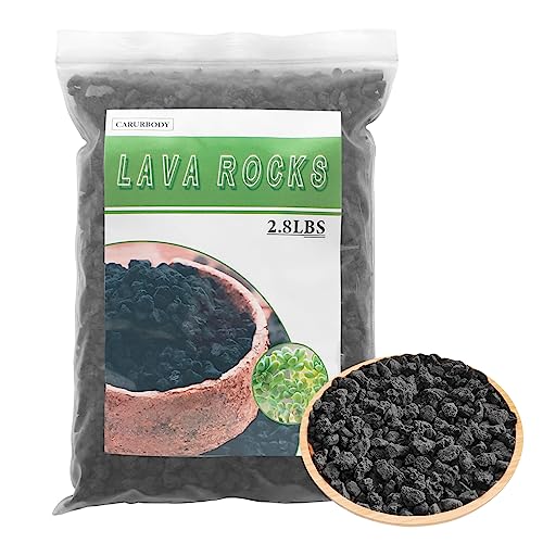 Black Lava Rocks for Plants -100% Pure Volcanic Rock No Dyes or Chemicals-Best Lava Stones Top Dressing for Cacti Succulents Plants,Bonsai - color: Black, size: 2.8LBS