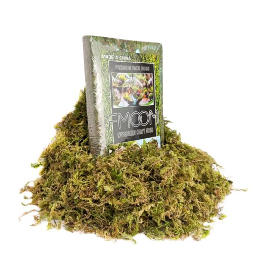 7OZ Artificial Fake Moss, Realistic Faux Green Moss for DIY Craft Decor | Realistic artificial moss for plants indoor, fairy gardens, floral décor, DIY crafts, weddings and home decoration - color: Natural Green