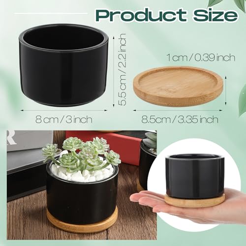 Cindeer 12 Sets Succulent Plant Pot Ceramic Succulent Pots Container Cactus Pots with Bamboo Tray Small Cylinder Flower Plant Pot with Bamboo Saucers for Plants Indoor Outdoor (Black,3 x 2.17 Inch) - color: Black