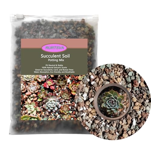 Rurtsva Mix Horticulturall Lava Rocks 5LBS Potting Soil for Plants Bonsai Succulents and Cacti Soil Decoration for Terrarium, Top Dressing, Fairy Gardening - color: mixed, size: 5lbs