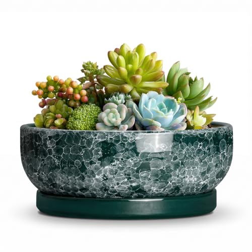 6 Inch Ceramic Succulent Planters with Saucer, Droplet Green | Succulents Pots with Drainage Hole, Round Small Bonsai Planter for Indoor Plants, Planter Bowl, Desk Decor, Garden Gift - color: Droplet Green, size: 6 Inch