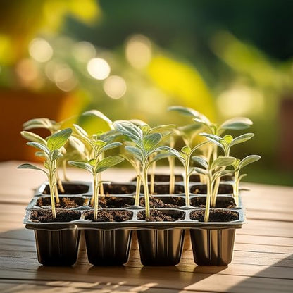 Seed Starter Trays, 12-Cell Kit with Humidity Dome, Reusable Seedling Germinating Plant Trays, 8 x 6 inches (3)
