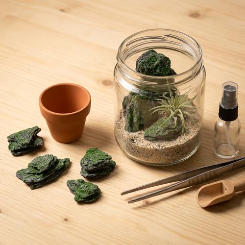 Miniature Moss Stones for Terrarium - Tree Bark Diorama Rocks for Miniature Terrain Display - Lightweight Reptile Habitat Decor - NOT for Aquarium Underwater Use - 24 Pcs Moss-Covered (1-2 inch) - style: 24P Moss Slate Rocks (Wooden)