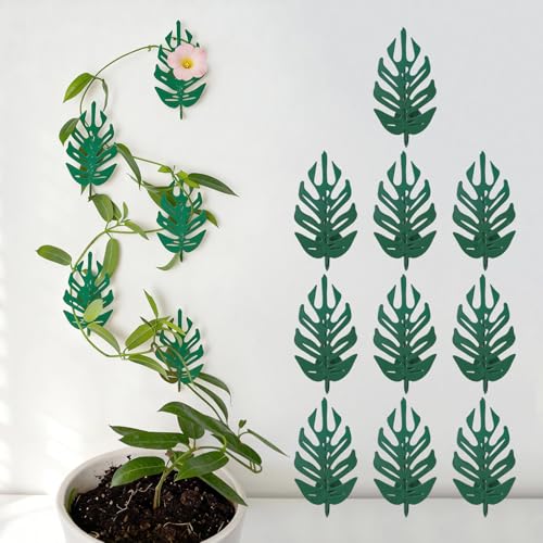15 Pack Plant Vine Wall Clips - Durable Iron Support Hooks for | Climbing Plants, Pothos, and Money Ivy – Adhesive Fixtures for Vertical Growth & Organizing Decor for Indoor and Outdoor Use - color: Green