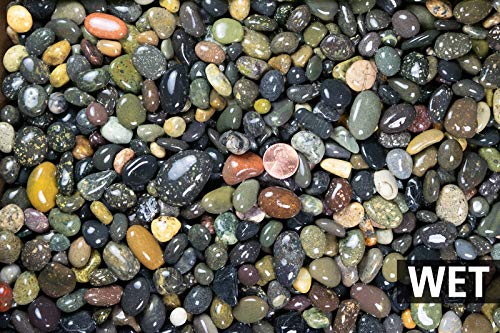 3 Lbs. Large Beach Pebbles for Bonsai Humidity/Drip Tray, Top Dressing, Lucky Bamboo & Zen/Fairy Garden