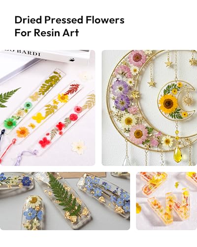 Dried Pressed Flowers, Resiners Dried Flowers for Candle Making Real Natural Pressed Flowers Dry Leaves Kit for DIY Crafts Resin Soap Scrapbook Card Making Jewelry (Gerbera Daisy 100pcs) - color: Bold Gerbera 100pcs