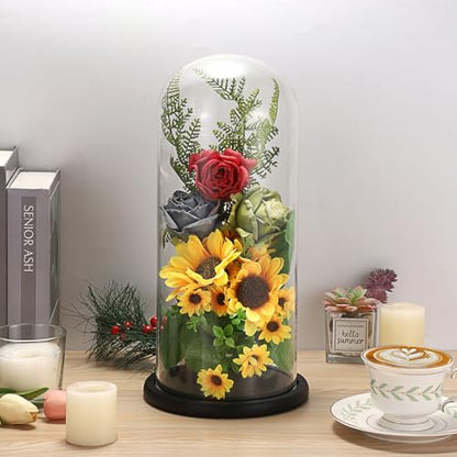 JUXYES 13.8 Inches Glass Display Dome Cloche with Black Wood Base, Clear Glass Dome Cloche Bell Terrarium Jar Glass Cloche Bell Jar Display for Plants Collectible Figure, 15x35cm
