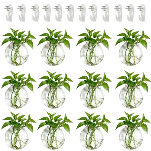 NUPTIO Glass Wall Hanging Planters: Clear Terrarium for Living Room, 12 Pcs | Wall Mount Vase for Indoor, Office, Garden, Kitchen, Balcony Decor, Air Plant Hydroponic Containers, Propagation Stations - size: 12 Pcs