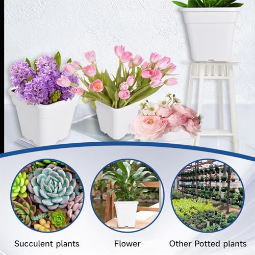 WFLNHB 1 Gallon 10 Pcs Square Plastic Plant Pots Flexible Nursery Pot Planter Nursery Pots Suitable for Flower Vegetables Succulents White - color: White, size: 1 Gallon-10 Pcs