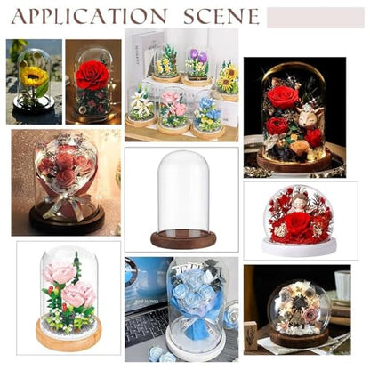 Glass Display Dome with Wooden Base, 4 x 7 Inch