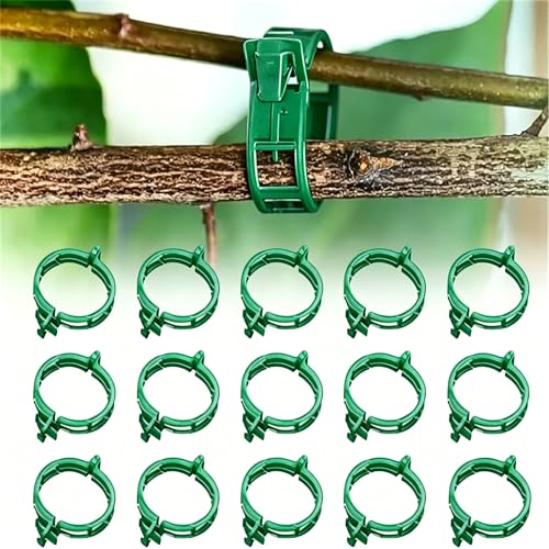 Pack Plant Support Clips, Reusable Plastic Vine Clips, Garden Tomato Clips for Climbing Plants, Vegetables, Flowers, Vines to Stems and Stakes (Green 50Pcs) - color: Green 50Pcs