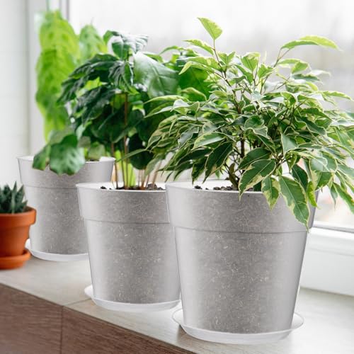 3 Pack Clear Nursery Pot,8 Inches,9.25 Inches,9.6 Inch | Drainage Hole, Large, Variety, Clear Plant Pots with Trays, Indoor Outdoor, Vegetable Propagation, Seed Starting - size: 8 Inches, 9.25 Inches, 9.65 Inches
