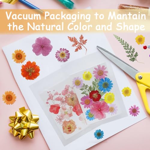 Real Dried Pressed Leaves Natural Dried Leaf for Candle Resin Jewelry Soap Nail Pendant Phone Case Crafts Making Floral Decors Scrapbooking DIY (48 Pcs Real Dried Leaves Flowers) - size: 48 Pcs Real Dried Leaves Flowers