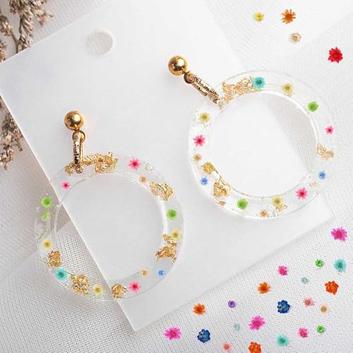 Resin Dried Flowers, DyAi 400Pcs Mini Dried Natural Pressed Flowers, Brazilian Daisies for Crafts Resin Filler, Soap Candles Making, Bookmarks, DIY Epoxy Earrings Jewelry Crafts