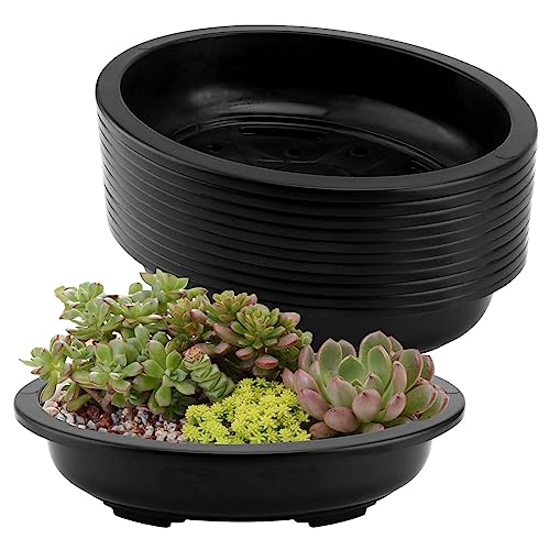 JAPCHET 12 PCS Oval Bonsai Training Pots, Plastic Pots with Drainage Holes Oval Nursery Pot for Home, Garden and Hotel, 15 x 11.4 x 3.5 in, Black