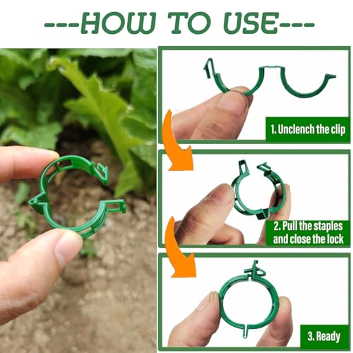 Plant Support Clips - Tomato Clips for String Trellis, 50pcs Grape Vine Clips for Fixing Stem and Vinefor Garden Netting Climbing Plants, Secured Plastic Plant Clip (50, Green) (50)