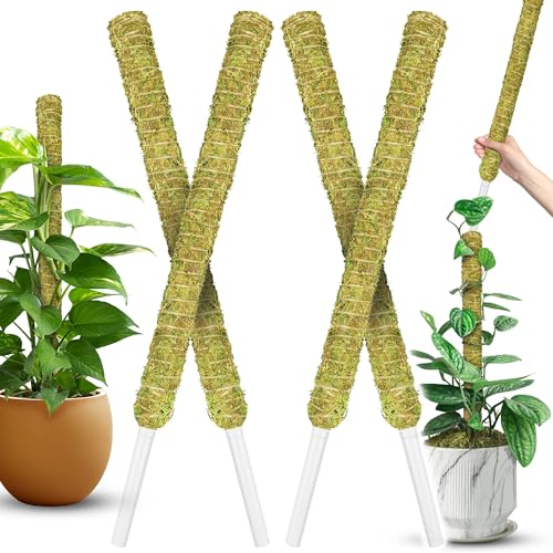 4 Pack 22" Natural Stackable Moss Pole for Plants Monstera | Extendable Up to 71", Natural Forest Moss Sticks, Monstera Plant Support, Handmade Plant Stakes for Indoor Potted Plants - color: Natural 4pcs
